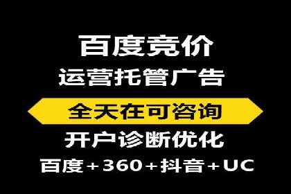 SEM代理服务：案例对比，效果哪家更胜一筹